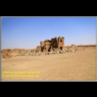 17595 06 030 Resafa Syrien 2011.jpg